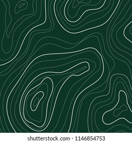 green topographic map, white lines on a dark background, vector
