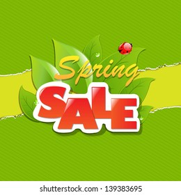 Green Torn Paper Borders And Spring Sale Banner With Gradient Mesh, Vector Illustration