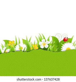 Green Torn Paper With Flowers And Grass With Gradient Mesh, Vector Illustration