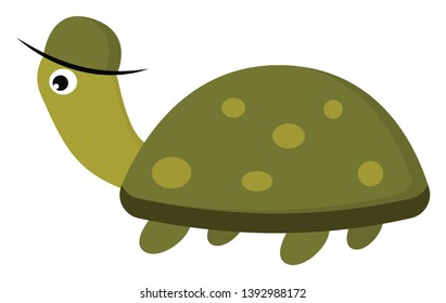 A green tortoise with spots on it which is wearing a green color cap vector color drawing or illustration