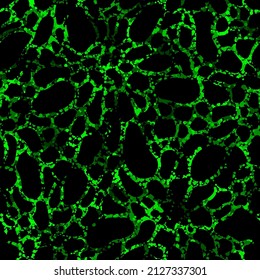 Biocélulas tóxicas verdes. Ilustración vectorial de fondo sin problemas. Vista de riesgo biológico estilizada por microscopio. Diseño científico biológico elegante para papel envoltorio, decoración, papel pintado o papel textil