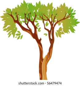 green tree