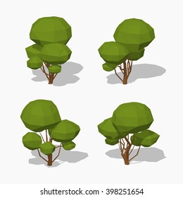 Green tree. 3D lowpoly isometric vector illustration. The set of objects isolated against the white background and shown from different sides