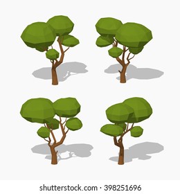 Green tree. 3D lowpoly isometric vector illustration. The set of objects isolated against the white background and shown from different sides