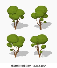 Green tree. 3D lowpoly isometric vector illustration. The set of objects isolated against the white background and shown from different sides