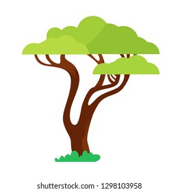 Green tree, African acacia. Vector illustration in cartoon style.