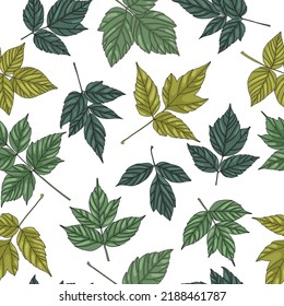 Green tree ash leaf seamless pattern. Big leaves on white background