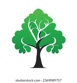 green tree. Beautiful big tree. tree on white background.