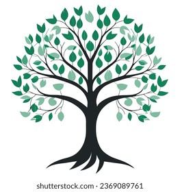 árbol verde. Hermoso árbol grande. sobre fondo blanco.