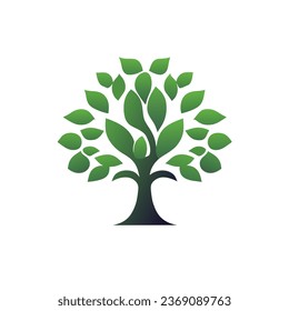 green tree. Beautiful big tree. tree on white background.