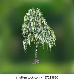 Green tree birch vector