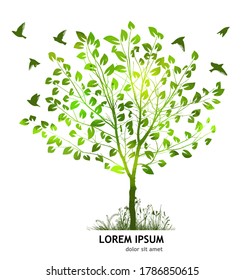 A green tree with birds. Enviroment protection. Vector illustration