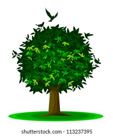 Green tree & birds vector design.