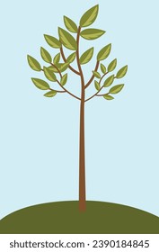 Un árbol verde y un cielo azul, un vector de ilustración de árbol verde y marrón y azul, primavera y otoño, adecuado para la señalización del parque y la publicidad de pancartas y verano y primavera, bueno para el contenido educativo
