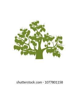 Green tree of Bodha life. Vector illustration.