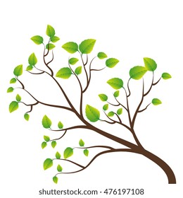 green tree branch leaves foliage tall plant spring vector illustration