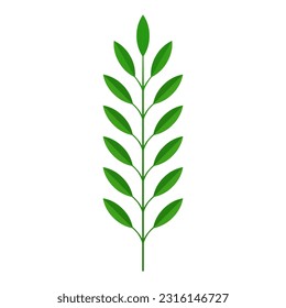 Rama de árbol verde con tallo y hojas planta tropical bio decoración botánica orgánica 3d icono gráfico vectorial realista. Verdor follaje naturaleza botánica primavera verano florecimiento hierba diseño decorativo