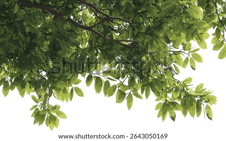 Green tree branches cutout, lots of leaves, nature silhouette, transparent background, tree foliage design, eco tree leaves, natural foliage backdrop, botanical background