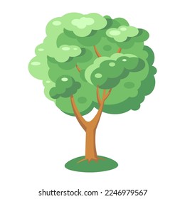 Árbol verde con ramas y hojas en verano. Ilustración vectorial, aislada en fondo blanco.