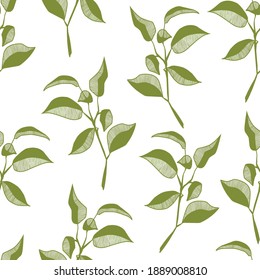 Green tree branches on white background pattern vector