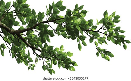 Green tree branches, serenity illustrations, transparent, leaf vector, nature art, eco friendly design, green leaves, foliage illustrations, natural serenity