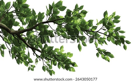 Green tree branches, serenity illustrations, transparent, leaf vector, nature art, eco friendly design, green leaves, foliage illustrations, natural serenity