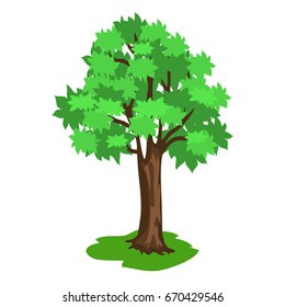 Green tree with broad brunches and brown trunk on plot of land vector illustration isolated on white background in flat style design