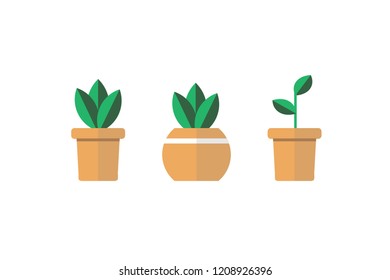 Green tree in brown pots, stacked 3 pots