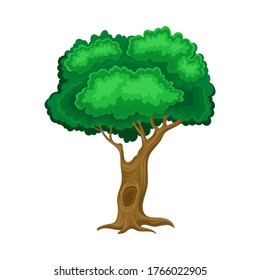 Green Tree with Brown Trunk and Leafy Crown as Forest Element Vector Illustration