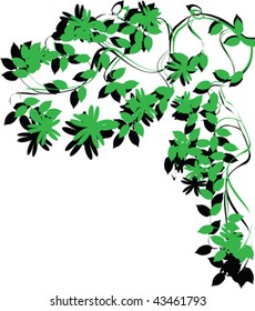 Green tree brunch foliage