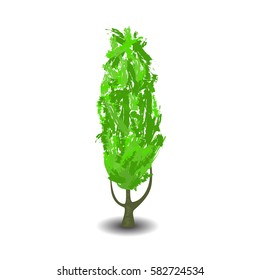 Green tree with brush textured crown, vector illustration on white background.  Handdrawn comic style tree with shadow. Summer tree with branches and leaf. Thin maple isolated. Forest element clipart