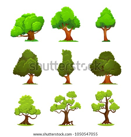 Green tree cartoon style. Green trees illustartion isolated on white. Nature and ecology, outdoor growing sign. Deciduous trees