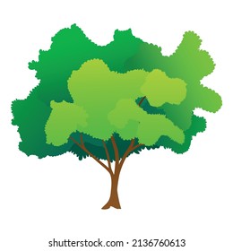 Green tree cartoon vector illustration. Spring time tree isolated on white. Natural forest plant. Ecology garden template.