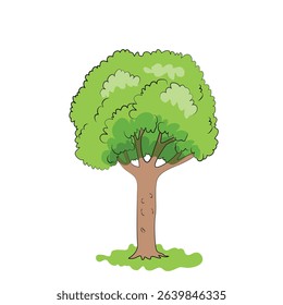 
Green tree cartoon vector illustration drawing for children book