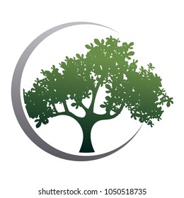 green tree in a circle, eco logo