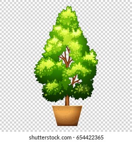 Green tree in clay pot illustration