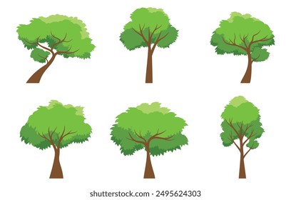 Árbol verde. Colección de árbol aislado sobre un fondo blanco. Cada especie de árboles. Un árbol con hojas verdes. Naturaleza o temas de estilo de vida saludable. Estilo de diseño plano de Ilustración vectorial