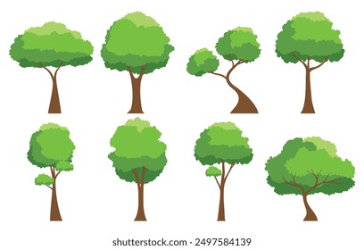 Green tree. Collection of tree isolated on a white background. Each species of trees. A tree with green leaves. Nature or healthy lifestyle topics. Vector illustration flat design style