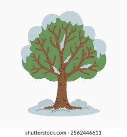 Green tree covered with snow vector illustration isolated on white background	