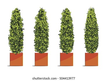 Green tree in cube pots isolated on white background. Vector illustration
