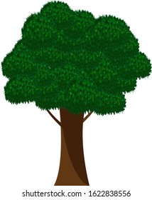 Green tree with dark brown trunck isolated on white background vector illustration. 
