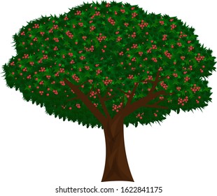 Green tree with dark brown trunck isolated on white background vector illustration. Spring or summer tree simple vector icon, nature and gardening theme illustration. Stylized  leaf with red berries.