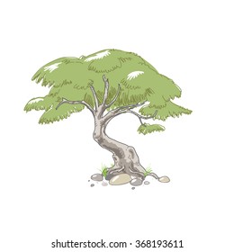 The green tree with dark foliage