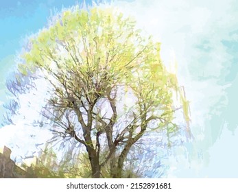 Green tree in daylight for backgrounds or posters. Beautiful landscape - branches of weeping willow in the sun for interior solutions, fabric, etc. First greens