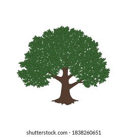 Green tree design. Vector illustration of nature. Eco logo design. Abstract organic design. Vector silhouette of a tree.