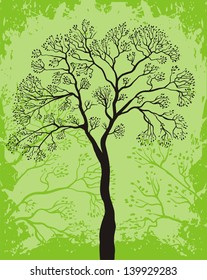 Green tree ecology