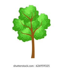 Green tree, element of a landscape. Colorful cartoon vector Illustration