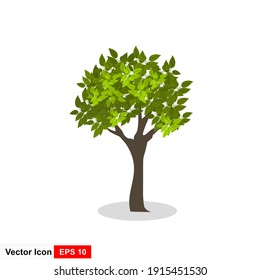 Green tree Fertile A variety of forms on the White Background,Set of various tree sets, Trees for decorating gardens and home designs. vector illustration and icon