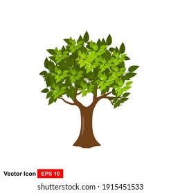 Green tree Fertile A variety of forms on the White Background,Set of various tree sets, Trees for decorating gardens and home designs. vector illustration and icon