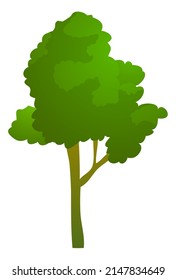 Icono plano del árbol verde. Símbolo de la naturaleza de verano